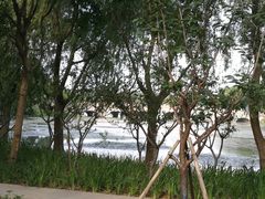 景点-昆山城市生态森林公园