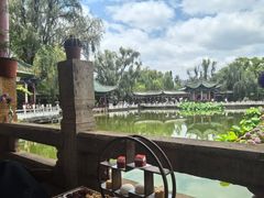 -MAP CHA普洱茶馆(翠湖店)