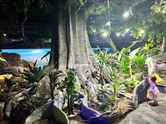 -江和美海洋公园