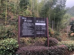-仙霞关景区