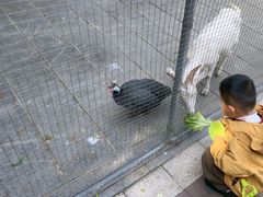 -厦门悦华酒店
