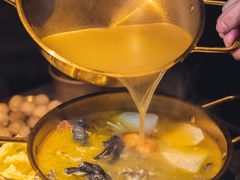 -Darling Queen·Mini·Live·House