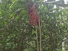 -可伦宾野生动物保护区