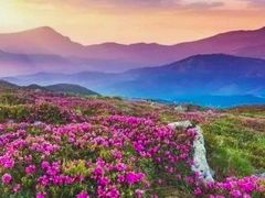 -梭磨河大峡谷