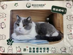 -联合动物医院(光谷诊疗中心)