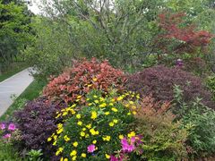 -昆山城市生态森林公园