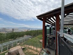-青藏高原野生动物园