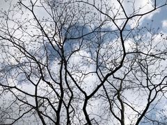 -尚贤河湿地