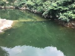 -将军关探险漂流