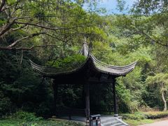 -宁波五龙潭景区