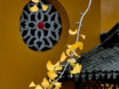 -西园戒幢律寺