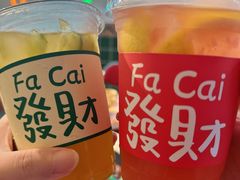 -马房湾66号·江湖菜