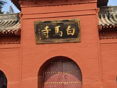 -洛阳白马寺