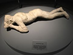 -盘龙城国家考古遗址公园