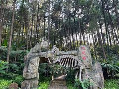 -森波拉奇妙世界
