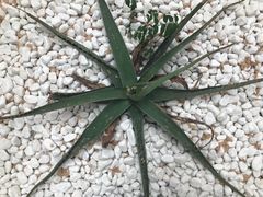 -禾康家蛋糕店