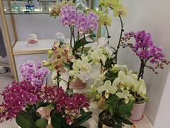 -EPOQUE·一刻花店(兴业太古汇店)