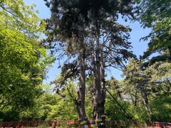 -北陵公园