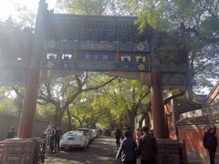 -北京国子监胡同