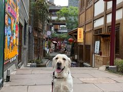 -重庆十八梯传统风貌区