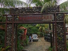 -万兴启丰椰子文化园餐厅