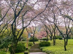 -中国茶叶博物馆(双峰馆区)