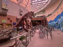 -陕西自然博物馆