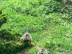 -大连森林动物园