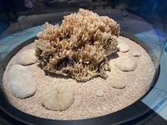 -天津自然博物馆