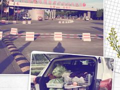 -西郊国际农产品交易中心