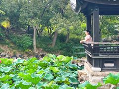 -无锡蠡湖国家湿地公园-蠡园