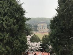 -武汉大学-樱园