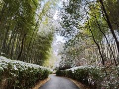 -天目湖涵田度假村