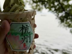 -湖畔居茶楼(湖滨店)