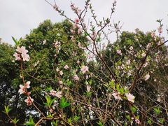 -美兰湖景区