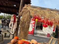 -同里国家湿地公园