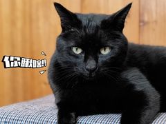 -春风十里咖啡馆