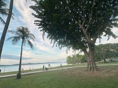 -巴拉湾海滩