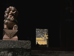 -少华山国家森林公园