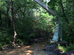 -大青沟风景区