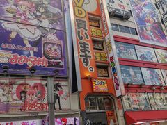 -秋叶原电器街