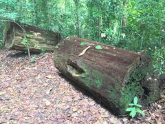 -武吉知马自然保护区