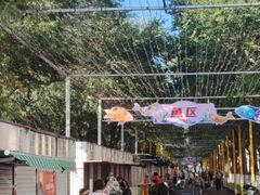 -哈尔滨道外花鸟鱼市场