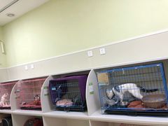 -瑞鹏宠物医院·骨科·猫科·内科(第一中心)