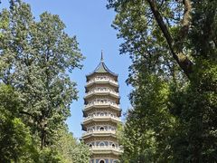 -灵谷景区