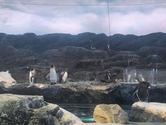 -新加坡飞禽公园
