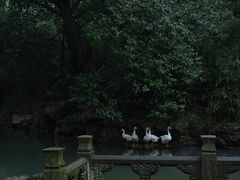 -兰亭风景区