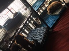 -赢吧Bliss音乐酒吧