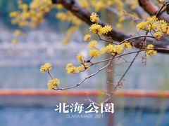 -北海公园