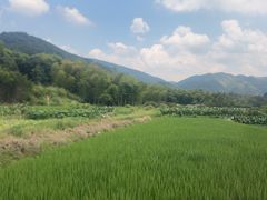 -四明湖